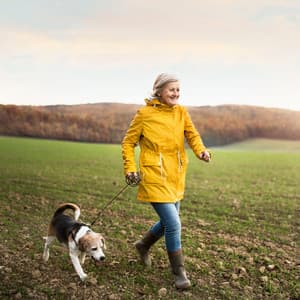 Blissful Dog Companionship: A Binaural Journey through Nature's Serenity - Sacred Nature