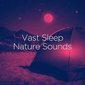 Vast Sleep Nature Sounds - Nature Sounds Nature Music