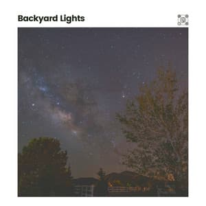 Backyard Lights - Cricket Sounds