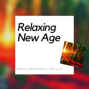 Relaxing New Age Soundscapes - Nature Meditation Channel