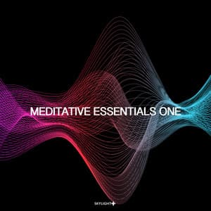 Meditative Essentials One - 432 Hz Sound Therapy