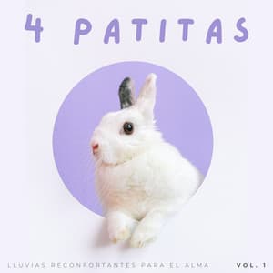 4 Patitas: Lluvias Reconfortantes Para El Alma Vol. 1 - Maravilla de lluvia