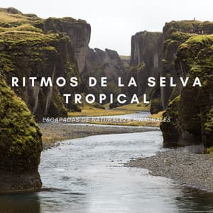 Ritmos De La Selva Tropical: Escapadas De Naturaleza Binaurales - Soluciones de ritmos binaurales