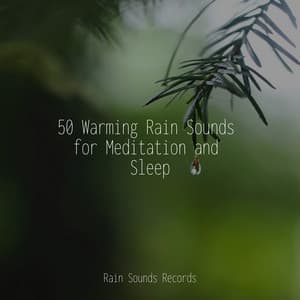 50 Warming Rain Sounds for Meditation and Sleep - Relaxation