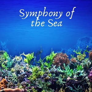 Symphony of the Sea - Rain Hard