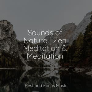 Sounds of Nature | Zen Meditation & Meditation - Deep Focus