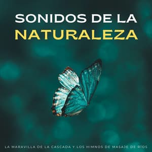 Sonidos De La Naturaleza: La Maravilla De La Cascada Y Los Himnos De Masaje De Ríos - Ciencia de la cascada