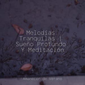 Melodías Tranquilas | Sueño Profundo Y Meditación - Musica Relajante & Yoga