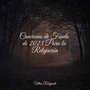 Canciones de Fondo de 2023 Para la Relajación - Piano Suave Relajante