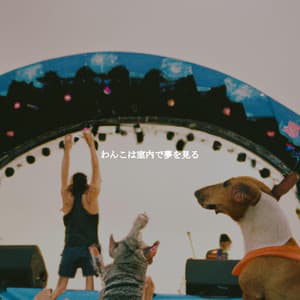 わんこは室内で夢を見る - Hotel Jazz Deluxe