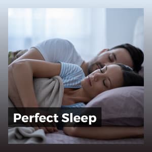 Perfect Sleep - Deep Sleep Relaxation