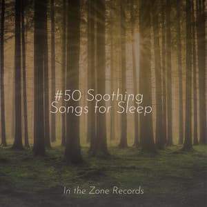 #50 Soothing Songs for Sleep - Guided Meditation