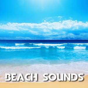 Beach Sounds - The Nature Sounds