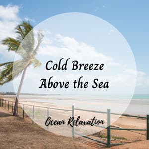 Ocean Relaxation: Cold Breeze Above the Sea - Seascapers