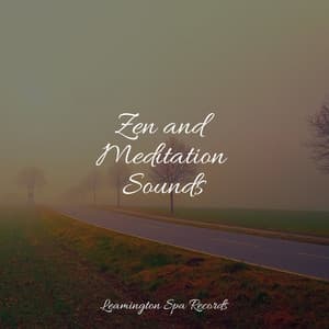 Zen and Meditation Sounds - Winds and Oceans