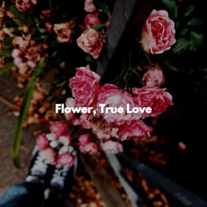 Flower, True Love - Summer Lounge Chillout