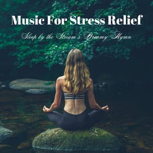 Music for Stress Relief: Sleep by the Stream's Dreamy Hymn - Streams & Mist