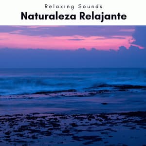 1 Naturaleza Relajante - Las Olas Del Mar