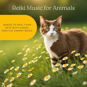 Reiki Music for Animals: Songs to Heal Your Pets with Hands, Positive Energy Music - Reiki for Animals