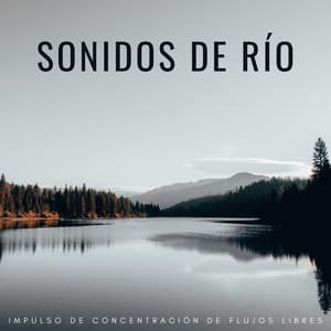 Sonidos De Río: Impulso De Concentración De Flujos Libres - Camino del agua