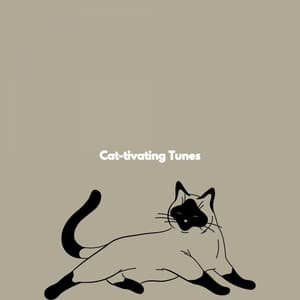 Cat-tivating Tunes - Latin Guitar Trio