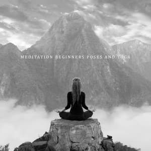 Meditation Beginners Poses and Yoga Workout for Healthy Life: Relaxing New Age Music Therapy - Yoga Postures Masters