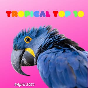 Tropical Top 10 - Francesco Digilio