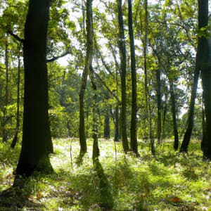 ! ! ! ! Uma Tarde de Relaxamento - Alan Baratieri