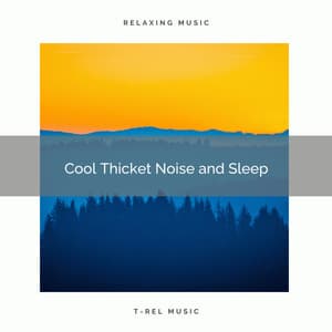 2020 Best: Cool Thicket Noise and Sleep - FX Makers