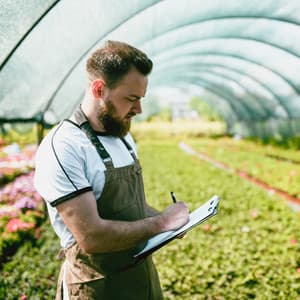 Crystal Singing Bowl Progress: Nature's Crickets and Focused Work Ambience - Nature Recordings