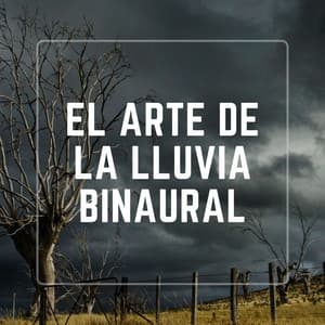 El Arte De La Lluvia Binaural - Sonido de lluvia ASMR
