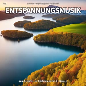 #01 Entspannungsmusik zum Schlafen, für Chillout und für die Nerven - Lernmusik