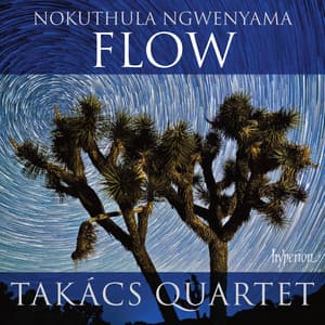 Ngwenyama: Flow - Nokuthula Ngwenyama