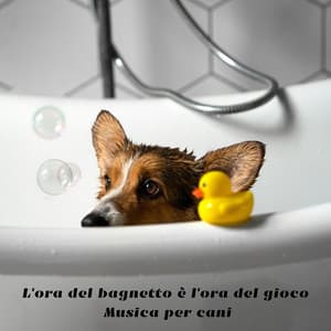 L'ora del bagnetto è l'ora del gioco: Musica per cani - Musica per Cani!