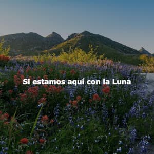 Si estamos aquí con la Luna - Jazz Bar Italiano