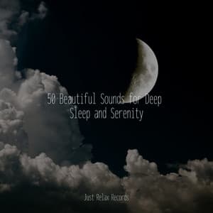 50 Beautiful Sounds for Deep Sleep and Serenity - kinderliedjes