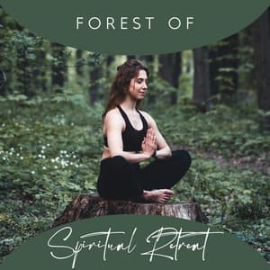 Forest of Spiritual Retreat: Tibetan Nature Meditation - Radio Tibetan Meditation Music