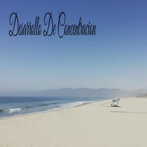 Desarrollo De Concentracion - Classical New Age Piano Music