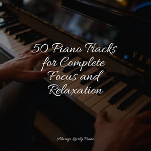 Instant Stress Relief and Calm Studying Collections - Klassisk Musik Orkester