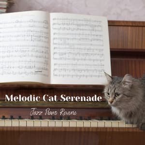 Melodic Cat Serenade: Jazz Piano Reverie - Easy Instrumental Jazz