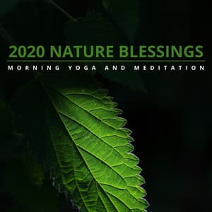 2020 Nature Blessings - Morning Yoga and Meditation - Zen Healing Melodies