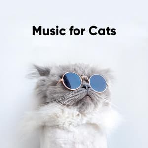 Music for Cats: Delicate Compositions for Felines - Paws for Thought