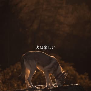犬は楽しい - Lunch Time Jazz Playlist