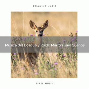Música del Bosque y Ruido Marrón para Suenos - Ruido Blanco