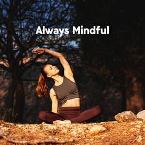 Always Mindful: Meditative Zone, Balance, Daily Serenity - Meditative Comfort Zone