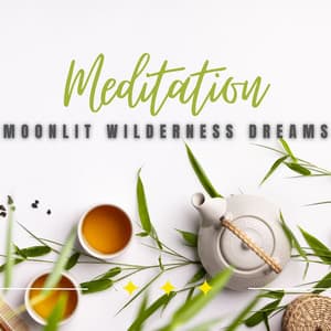 Moonlit Wilderness Dreams: Relaxation Under the Stars - cloudy night