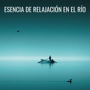 Esencia De Relajación En El Río - Sonidos de Cascadas