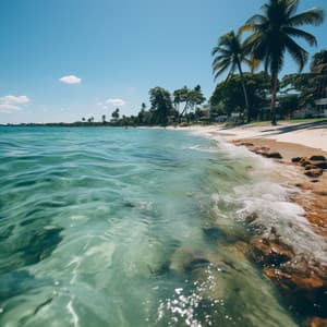 Armonía Oceánica: Sinfonía De La Naturaleza Junto Al Mar - Próxima Naturaleza