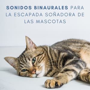 Sonidos Binaurales Para La Escapada Soñadora De Las Mascotas - Binaurales Colectivo