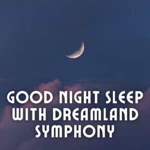 Good Night Sleep with Dreamland Symphony - Sleepy Side